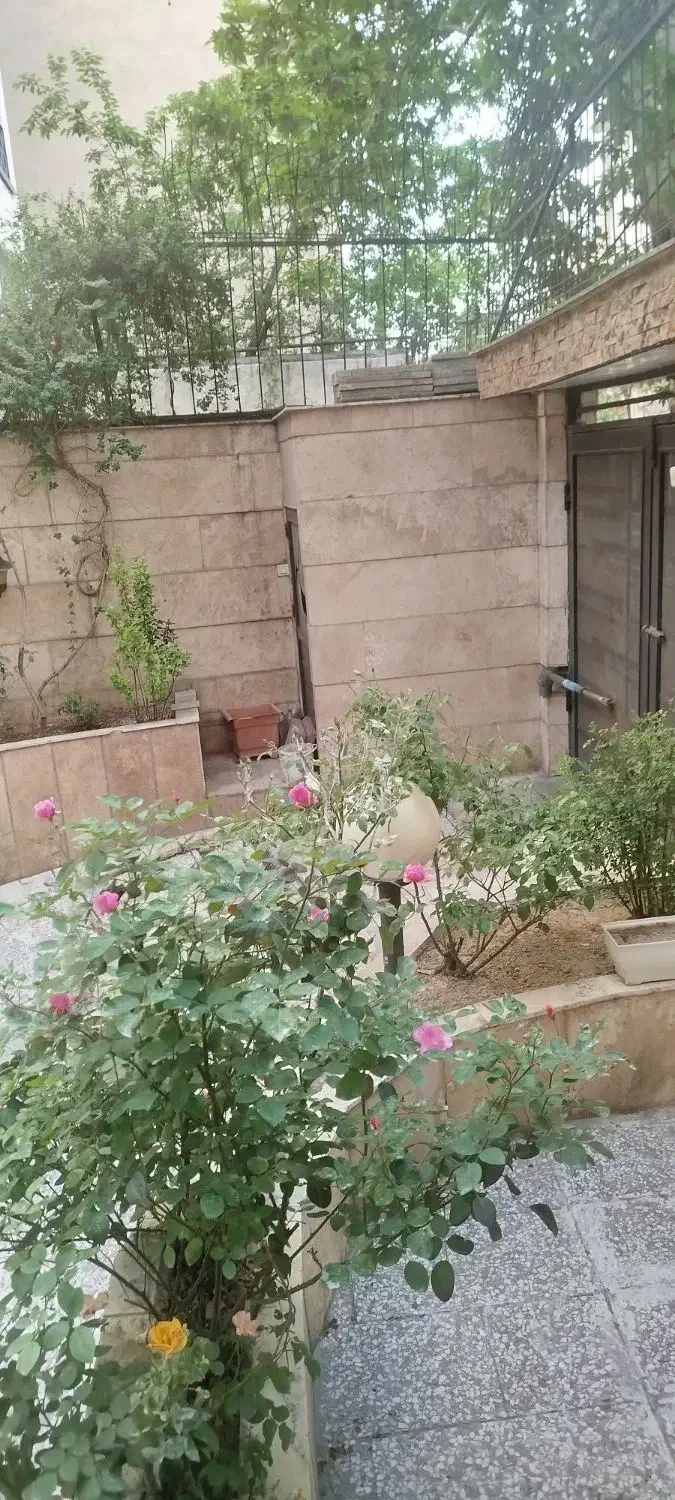 نمایش بزرگ