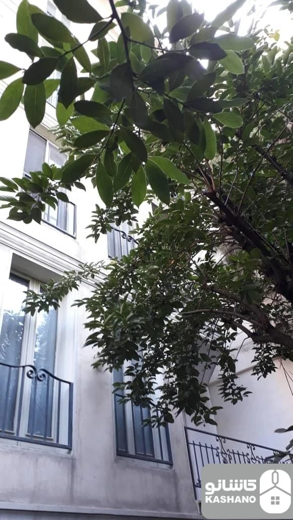 رهن و اجاره آپارتمان 70 متری در دولت - تصویر 6
