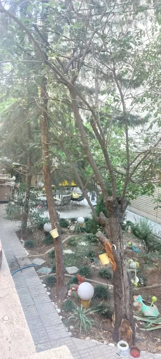 رهن و اجاره آپارتمان 160 متری در ولنجک - تصویر 3