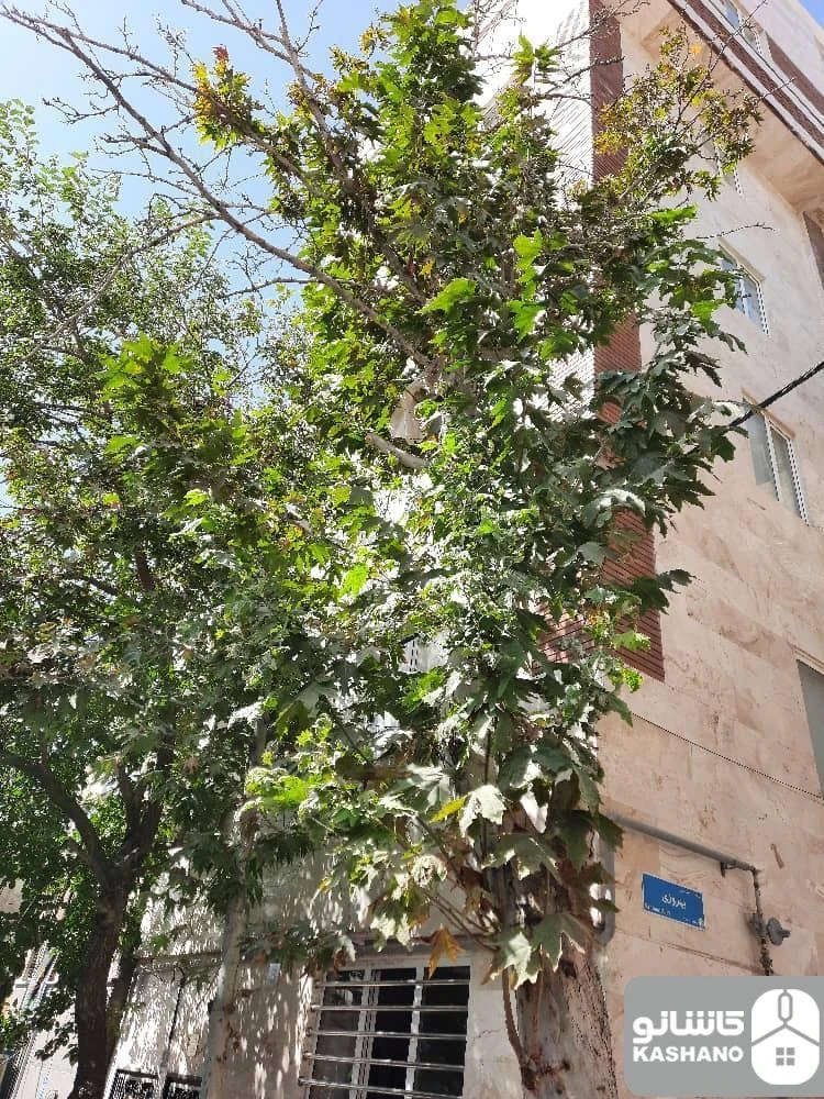 فروش آپارتمان 95 متری در گلاب دره - تصویر 4