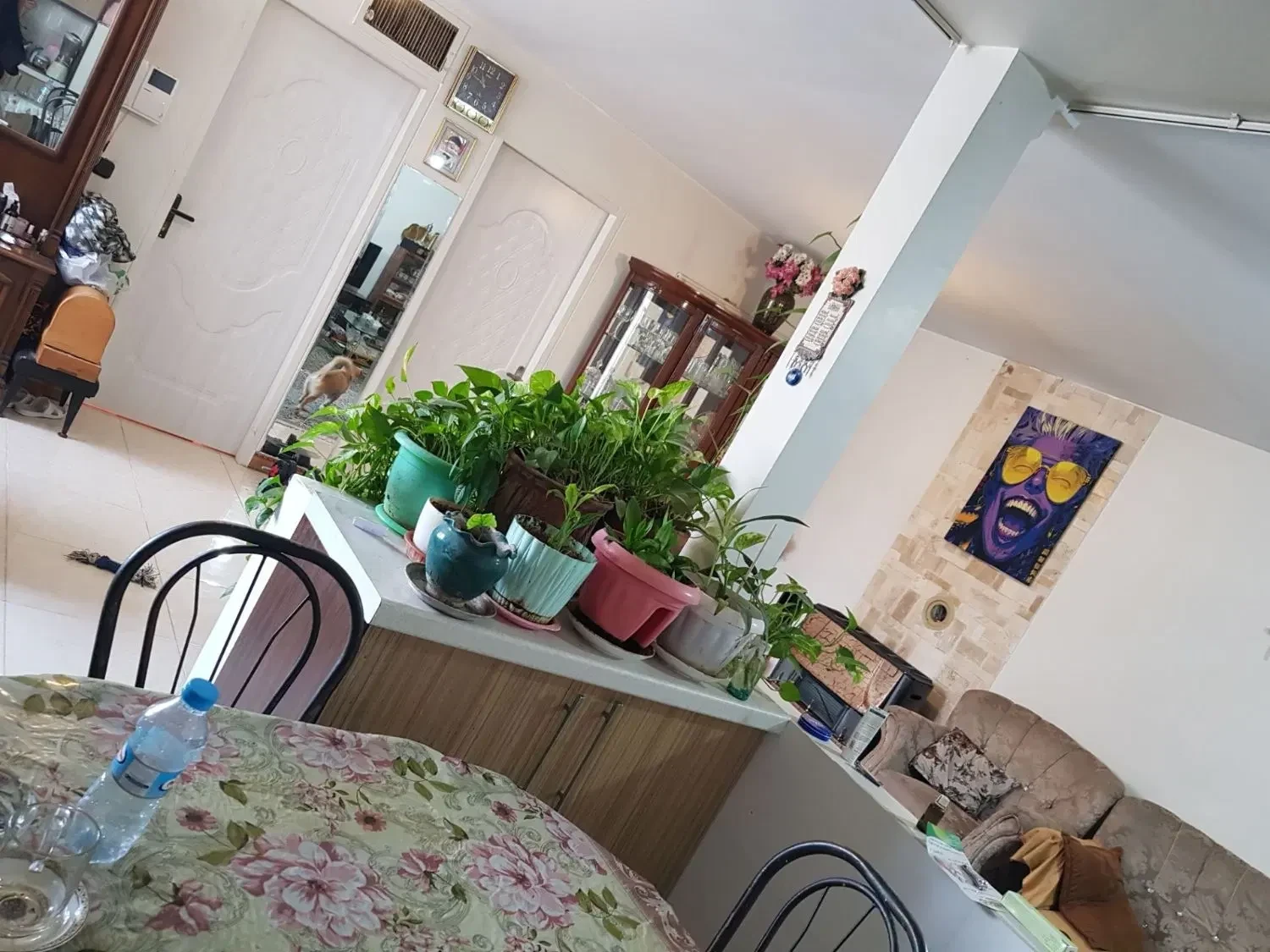 رهن و اجاره آپارتمان 80 متری در کاشانک - تصویر 1