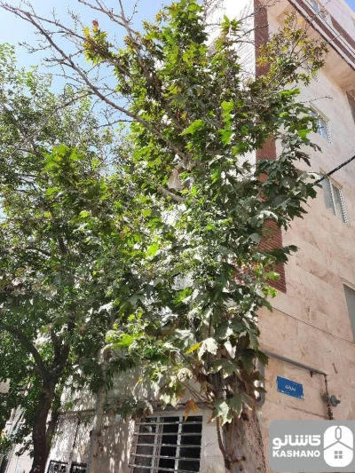 فروش آپارتمان 95 متری در گلاب دره
