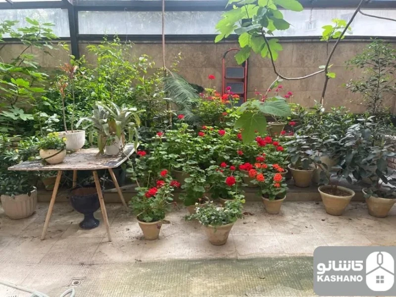 رهن و اجاره آپارتمان 230 متری در نخجوان (امام زاده قاسم) - نمای اصلی ملک