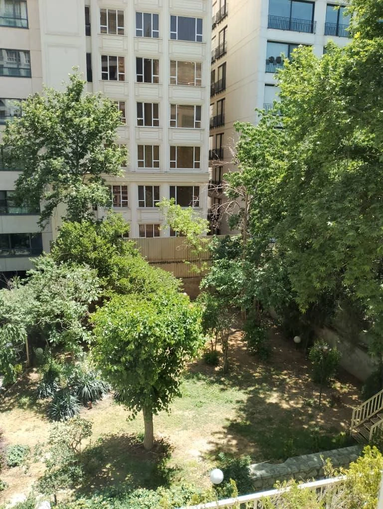 تصویر ملک