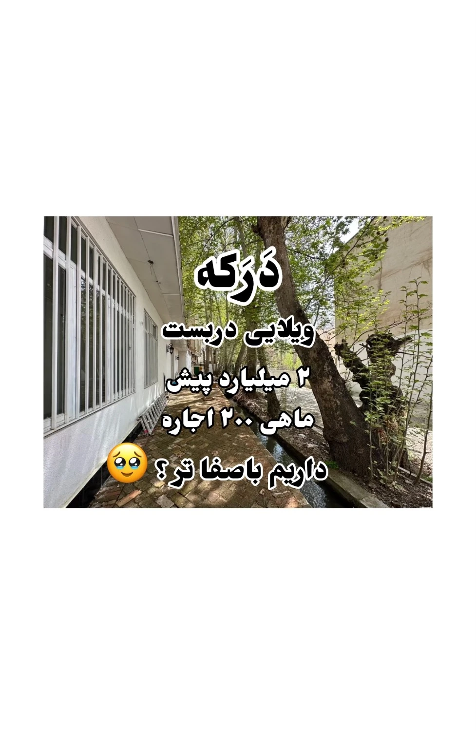 تصویر ملک