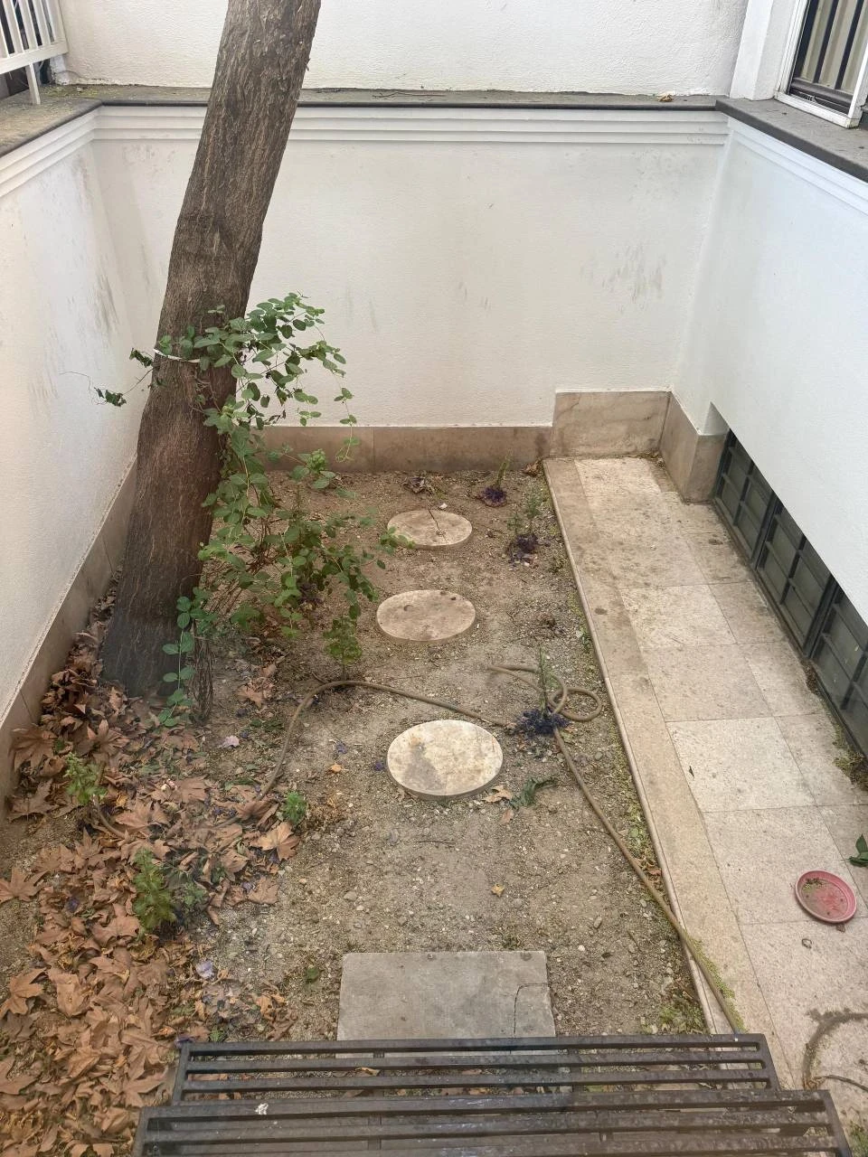نمایش بزرگ