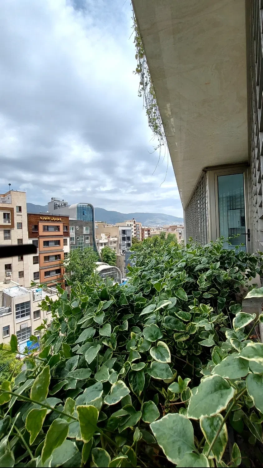 نمایش بزرگ