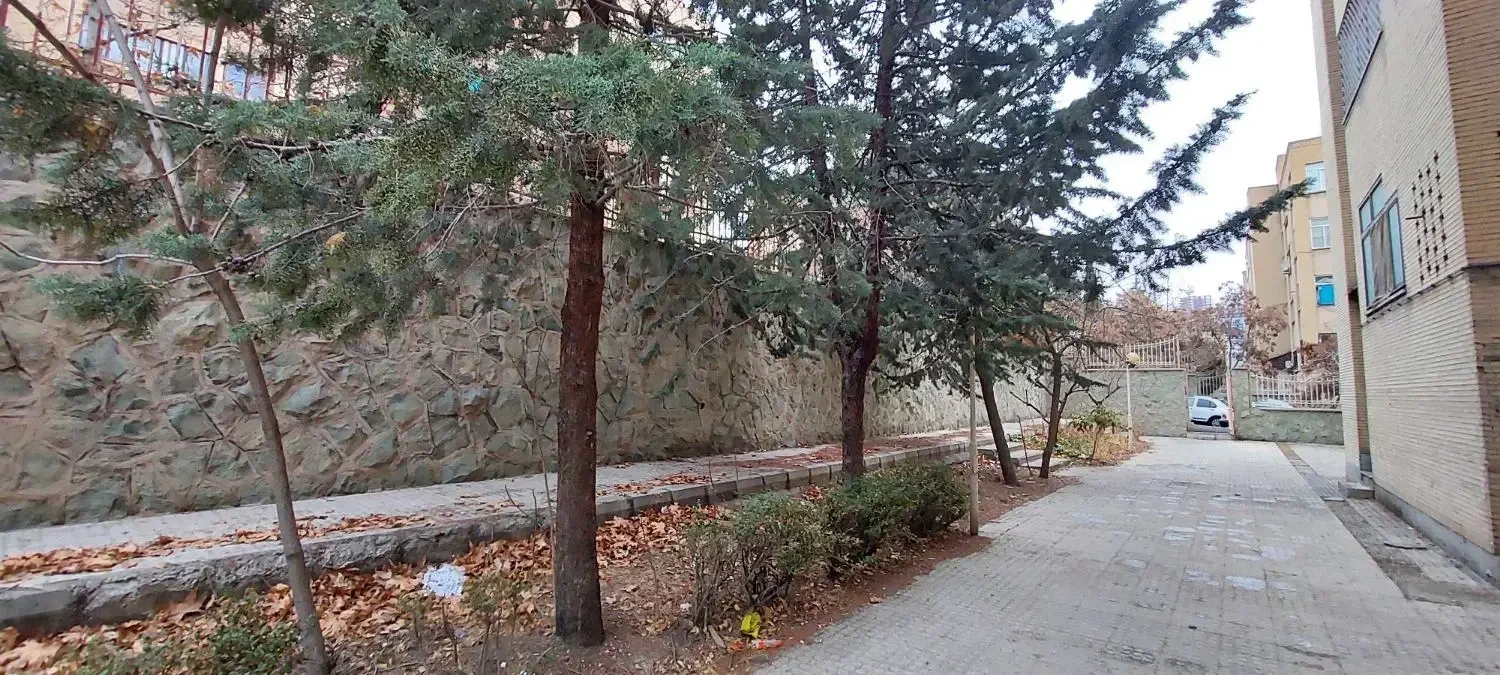 نمایش بزرگ
