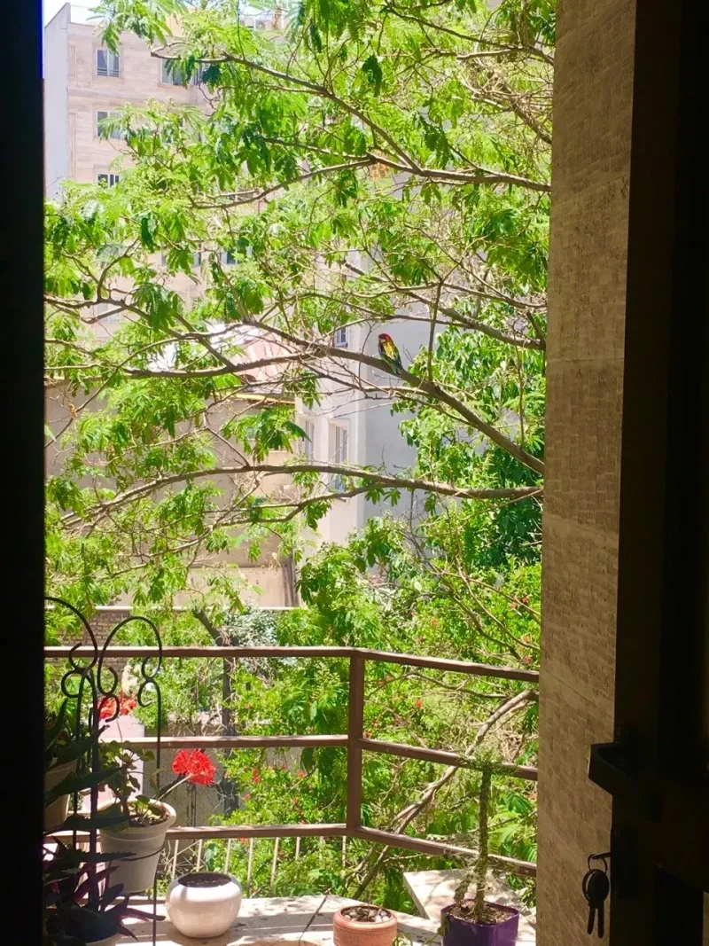 فروش آپارتمان 95 متری در درکه - نمای دوم ملک