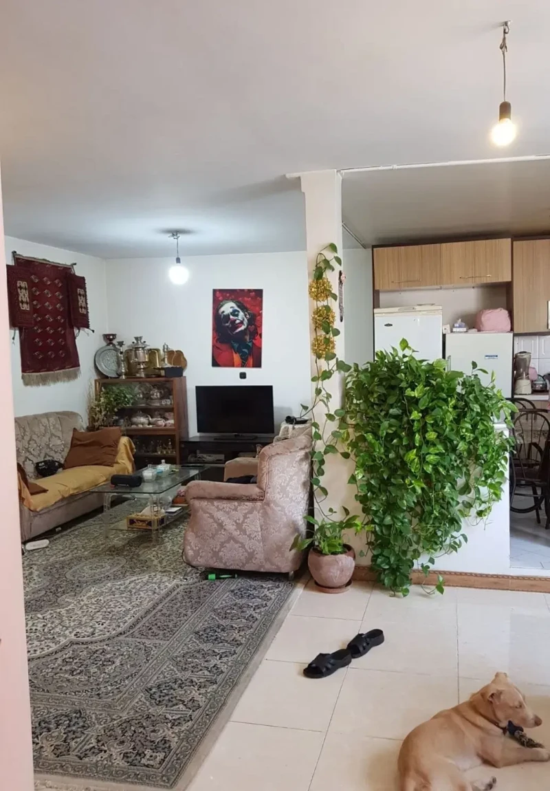 رهن و اجاره آپارتمان 80 متری در کاشانک - نمای دوم ملک